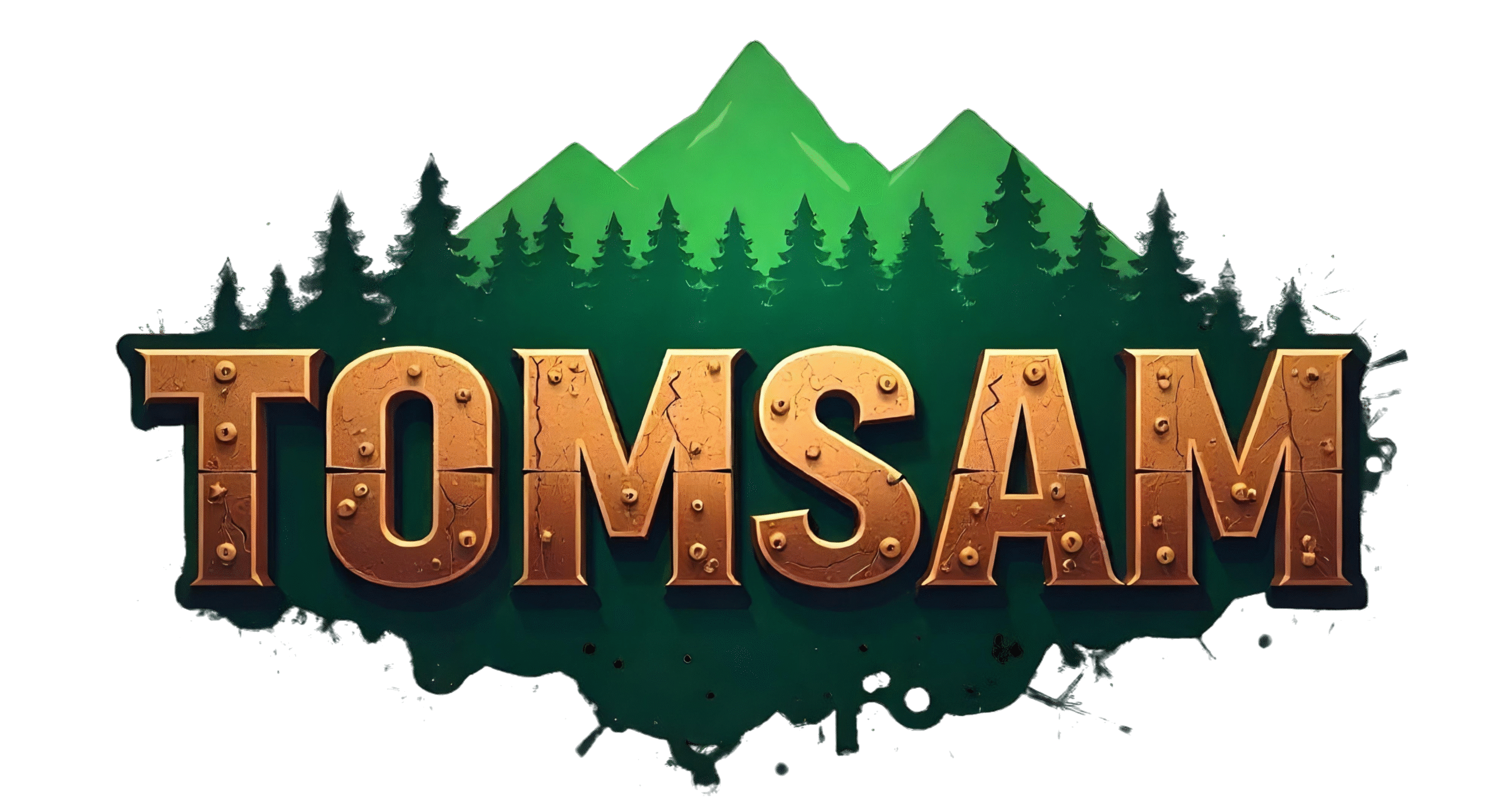 tomsamauto.com